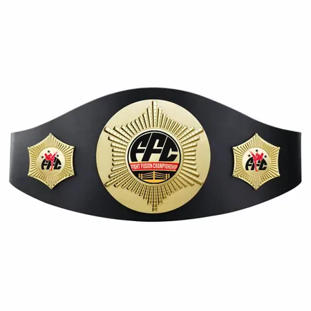 Custom Perpetual Champion Belts - Custom Aprons Now