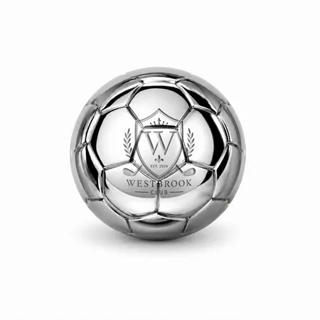 Soccer Ball Stainless Steel Ice Cubes - Custom Aprons Now