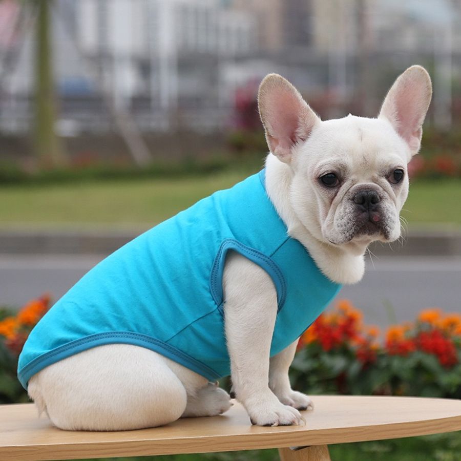 Pet Tank Shirts - Table Covers Now