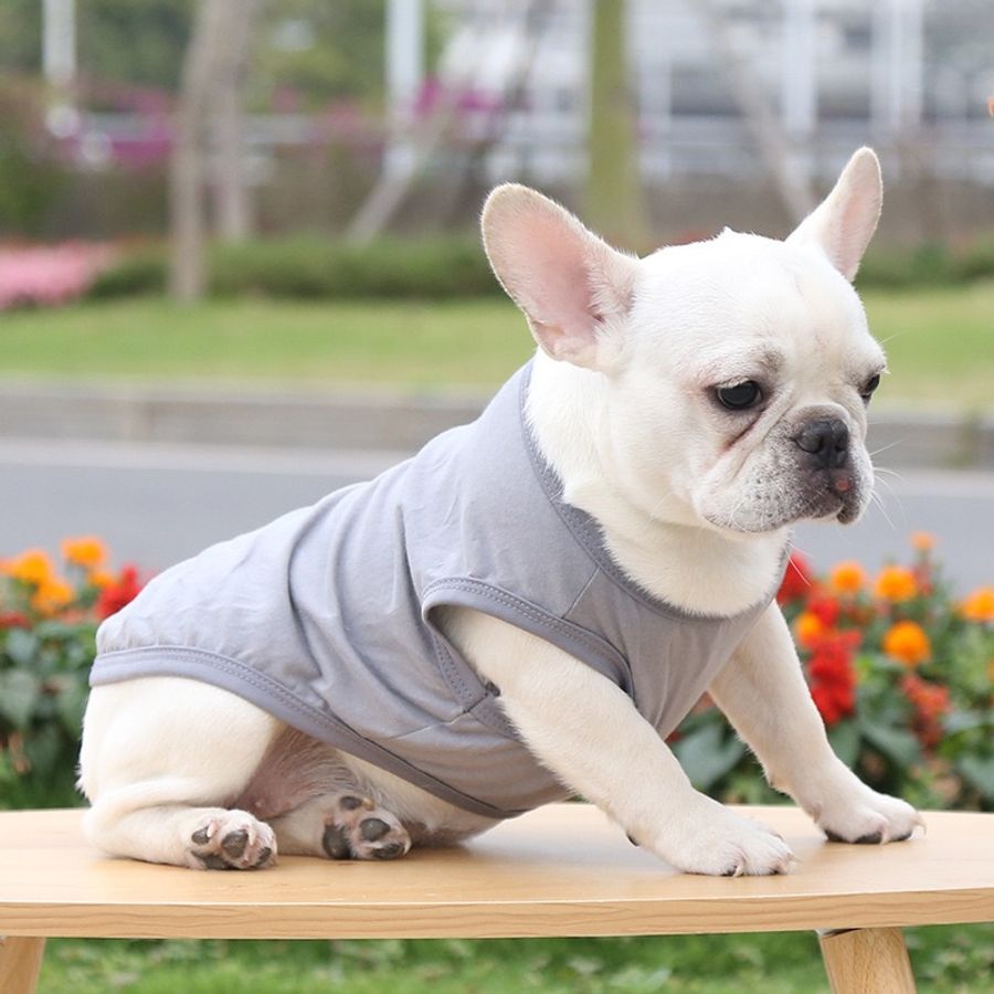 Pet Tank Shirts - Table Covers Now